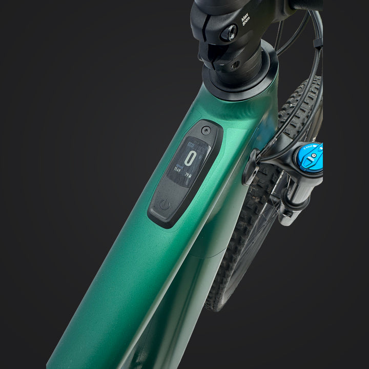 2024 Specialized Turbo Levo SL2 Comp
