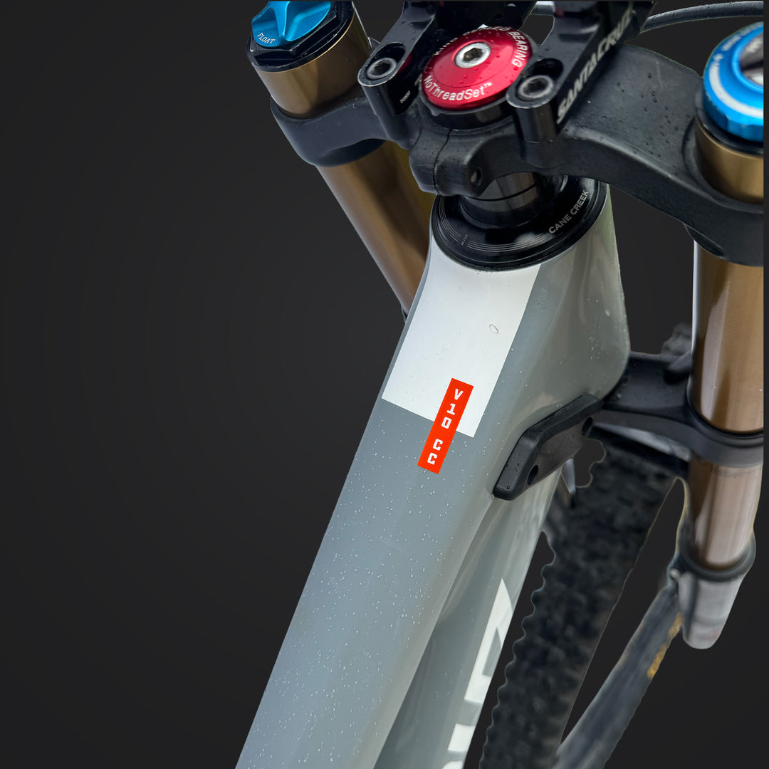 SANTA CRUZ V10 CC | FOX FACTORY 49 | DHX2 FACTORY | 29"